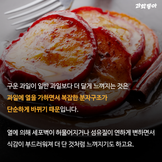 (주)동아사이언스 제공